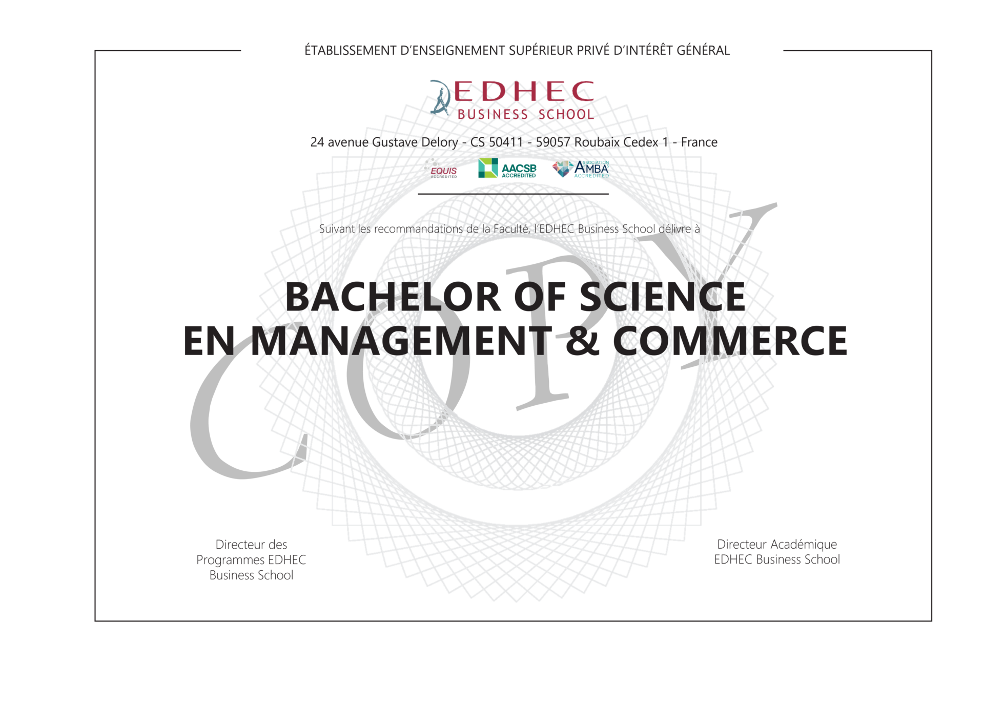 BSc Management et commerce à distance | EDHEC Online
