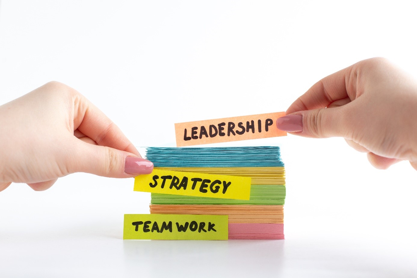 leadership development